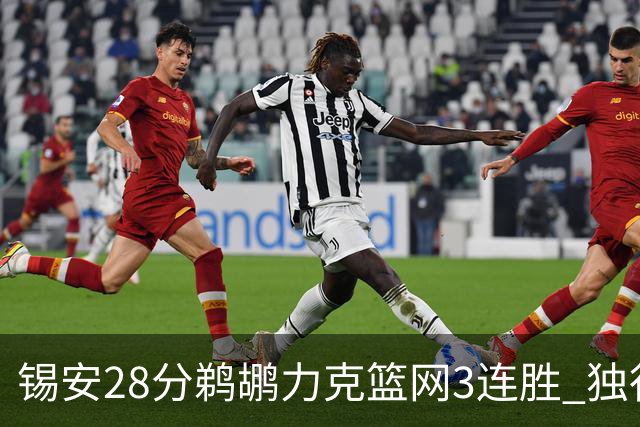 锡安28分鹈鹕力克篮网3连胜 独行侠险胜马刺